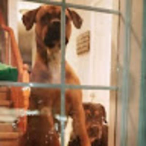 Meet your Posher, Paul